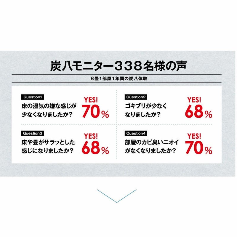 炭八達人が選ぶ！ちょい足し炭八単品3L小袋タンス玄関下駄箱湿気除湿調湿脱臭車内