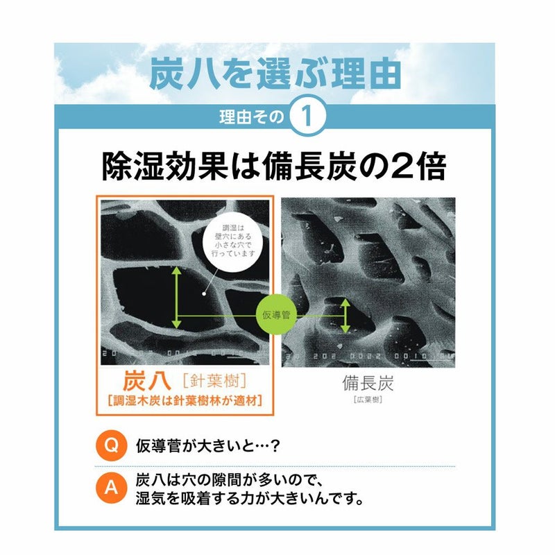 炭八の達人が選ぶ！ちょい足し炭八福袋室内3L小袋タンス玄関下駄箱湿気除湿調湿脱臭車内