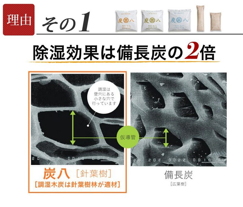 炭八スマートあげます！炭八お試し４種類セット室内用タンス用押入れ用湿気除湿小袋除湿シートクローゼット消臭剤炭送料無料湿気除湿ペット消臭脱臭炭結露結露防止湿気対策調湿木炭マンション結露防止出雲屋炭八