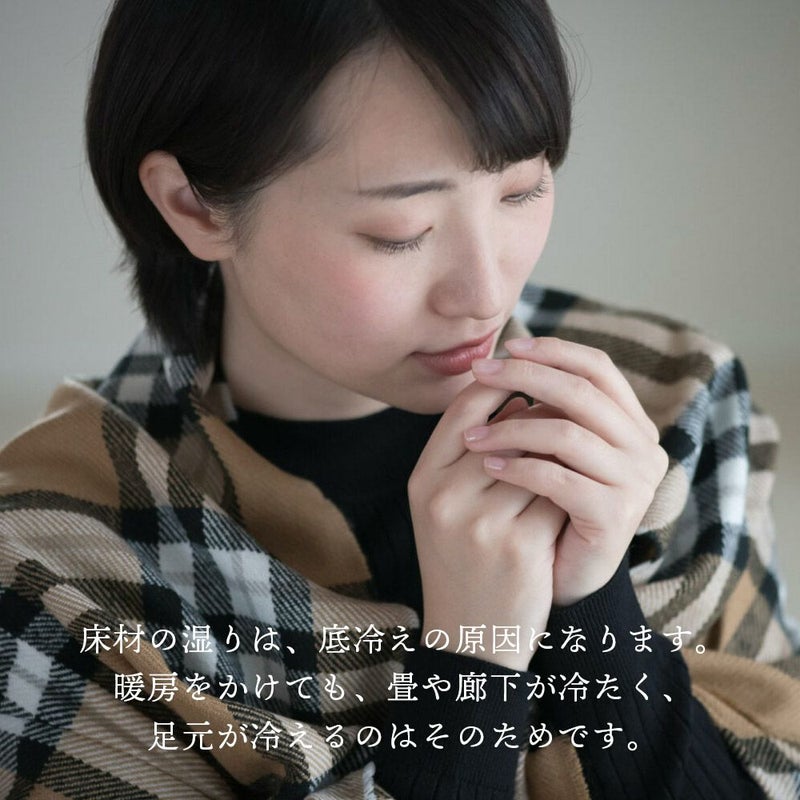 炭八床下用８個セット床下乾燥【送料無料】床下の湿気湿気除湿消臭脱臭炭結露乾燥湿気対策調湿木炭