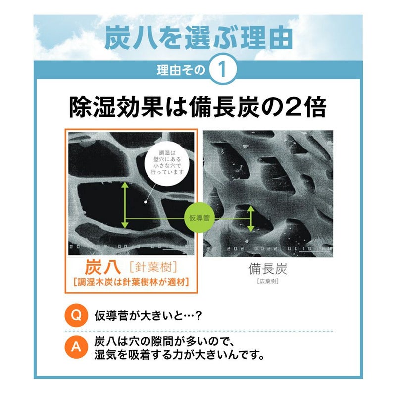出雲屋炭八大袋8個セット室内用結露対策消臭剤除湿剤乾燥材調湿木炭