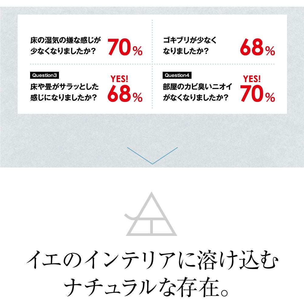 小さい炭八選べるセット炭八除湿タンス玄関靴下駄箱シューズキーパー消臭梅雨湿気対策じめじめスニーカーパンプスブーツ乾燥送料無料出雲屋