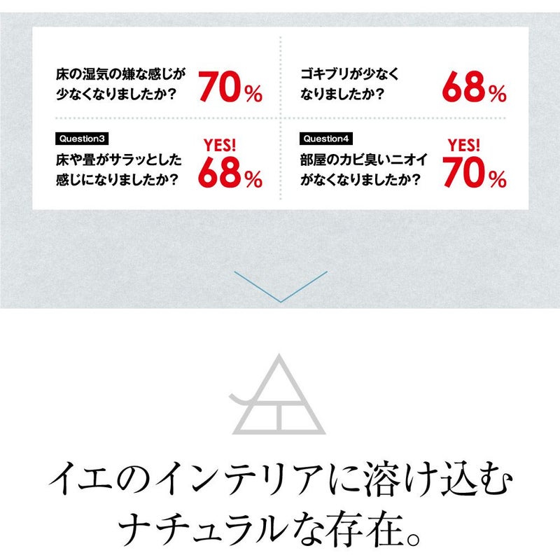 小さい炭八選べるセット炭八除湿タンス玄関靴下駄箱シューズキーパー消臭梅雨湿気対策じめじめスニーカーパンプスブーツ乾燥送料無料出雲屋