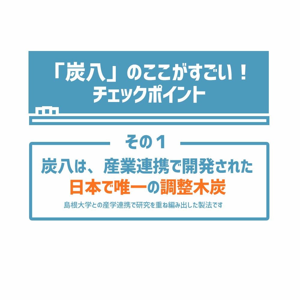 炭八で調湿実感炭八トライアル8Lセットお試しセット室内8L大袋湿気対策室内玄関下駄箱湿気除湿調湿脱臭車内