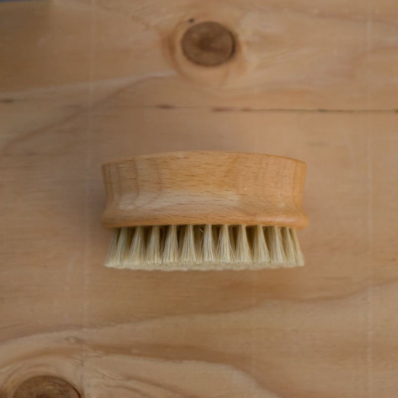 洗濯用ブラシFL-149フレディレックフレディレック洗濯ブラシ毛ブラシ家事