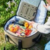 AOCoolers18パックワイドトランクソフトクーラーエーオークーラーズ
