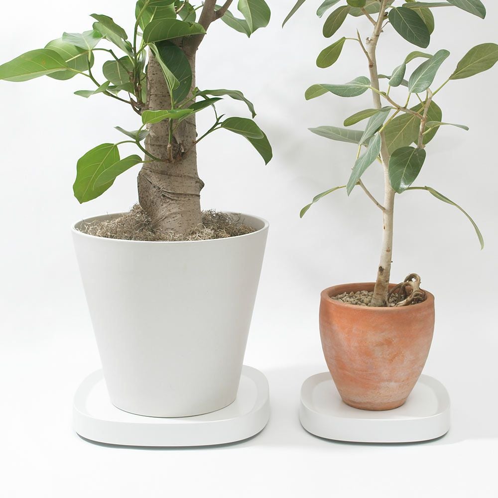 プランタブルSLラージPlantabletidyティディキャスター付き鉢台鉢皿受け皿受皿台車ブラックブラウンホワイトトレイトレープランター観葉植物