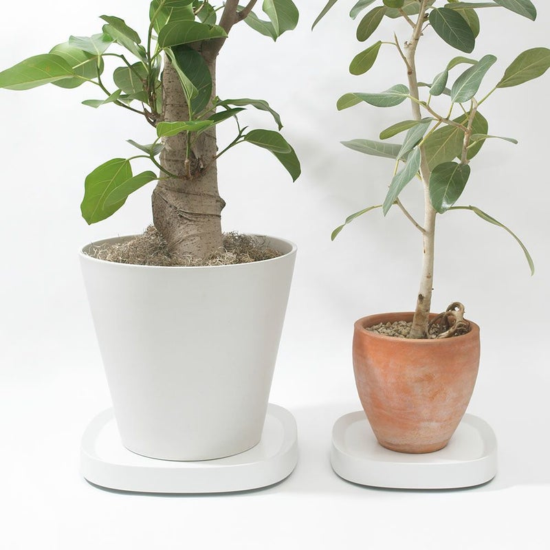 プランタブルSLラージPlantabletidyティディキャスター付き鉢台鉢皿受け皿受皿台車ブラックブラウンホワイトトレイトレープランター観葉植物