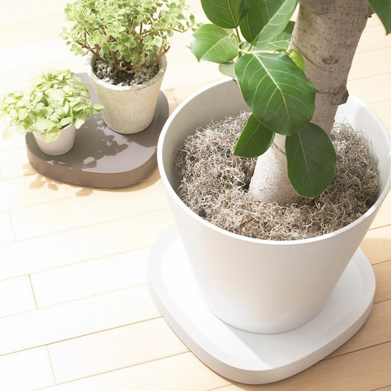 プランタブルSLラージPlantabletidyティディキャスター付き鉢台鉢皿受け皿受皿台車ブラックブラウンホワイトトレイトレープランター観葉植物