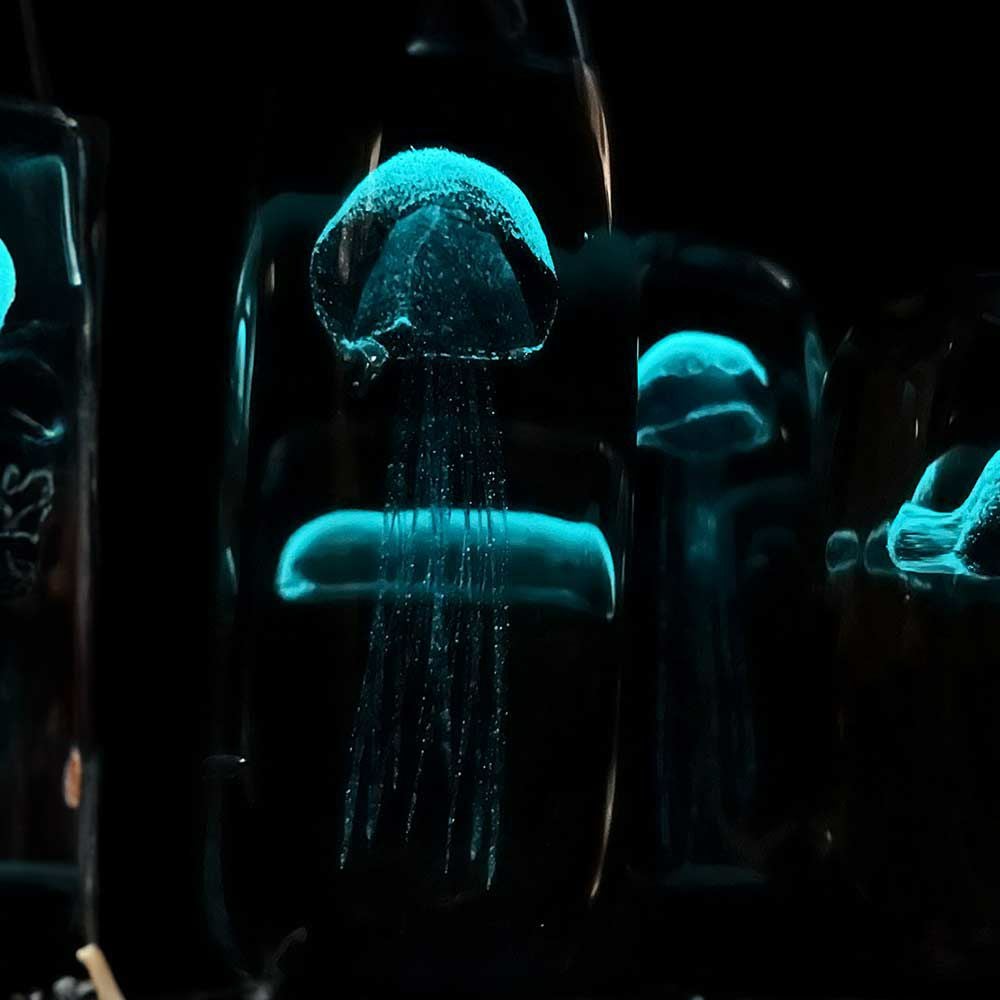 DETAILJellyfishペーパーウェイトPaperWeightガラスオブジェクラゲHEREbyDETAIL