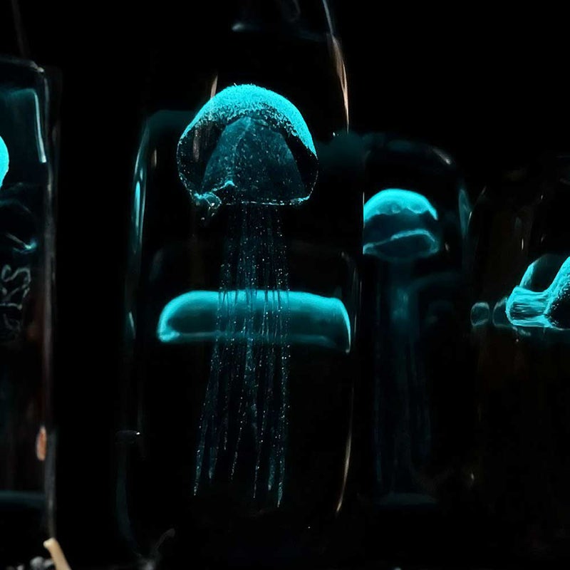 DETAILJellyfishペーパーウェイトPaperWeightガラスオブジェクラゲHEREbyDETAIL