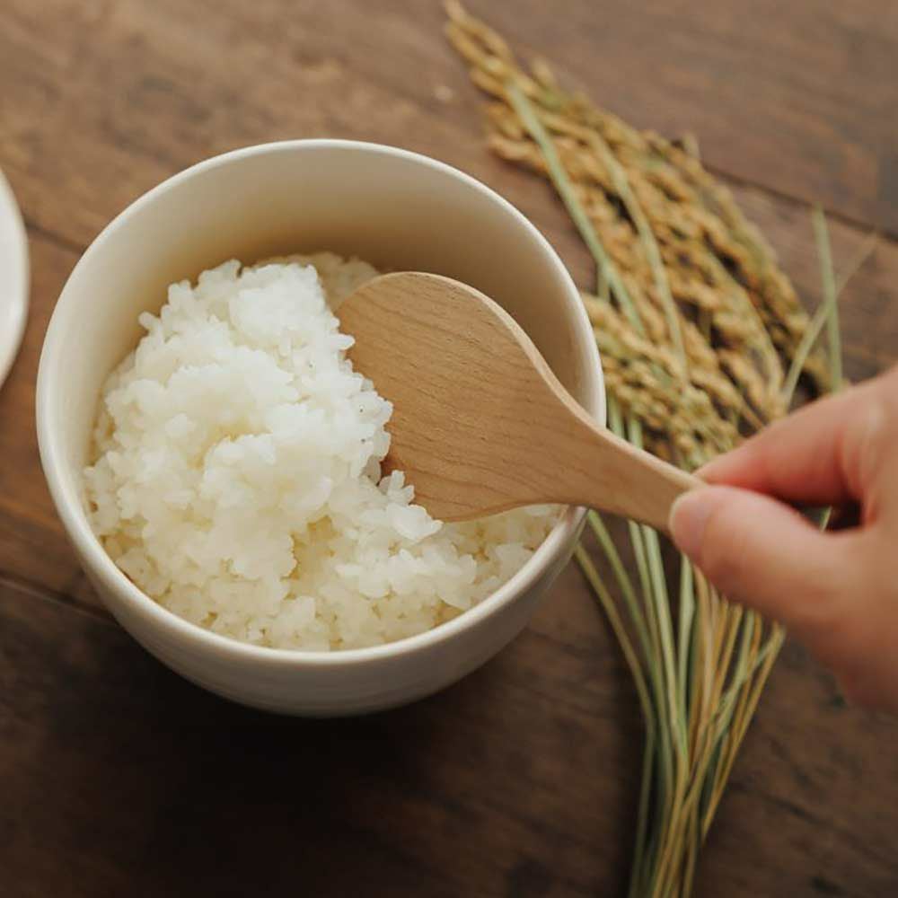 かもしか道具店陶の飯びつふつうおひつご飯容器1.5合