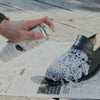 LAQ2ラクツスマートシューケアスプレー革靴スニーカーバッグ汚れ防止防水除菌消臭靴ケア汚れ落とし靴クリーナー